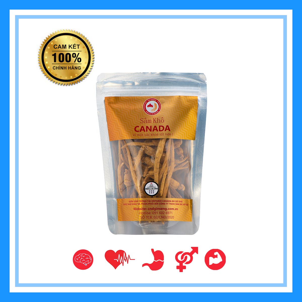 Nhân Sâm Canada - Sâm Khô Nguyên Củ - Nhỏ & Dài