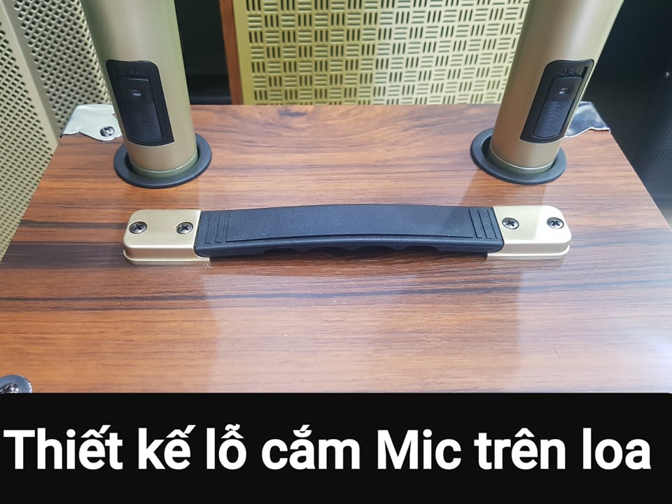Loa kéo Karaoke Bluetooth BNIB M10: Bass 25, Có 2 Micro không dây đi kèm