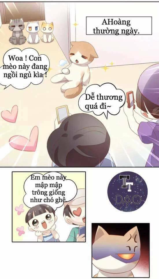 dưới móng vuốt mèo chapter 10 10