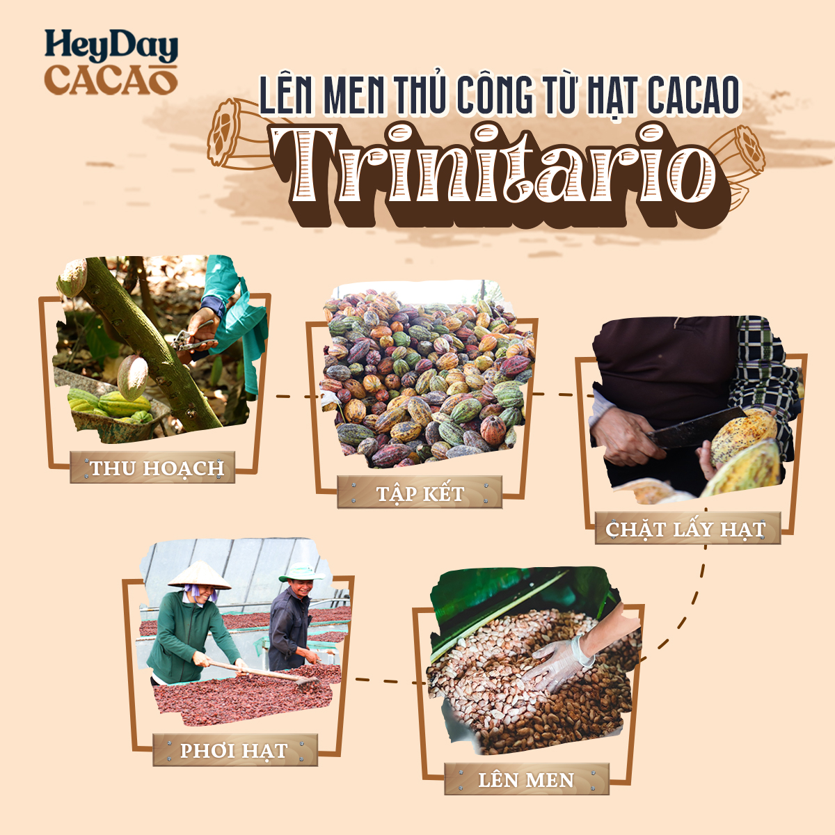 Bột cacao nguyên chất 100% Việt Nam - Dòng Balanced phổ thông túi 250g - Chuyên dùng làm bánh, pha chế cho quán cà phê - Heyday Cacao