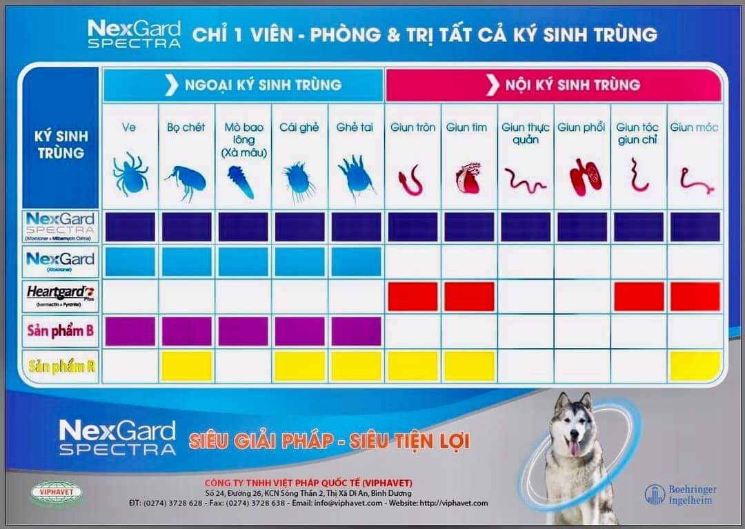 1 viên NexGard Spectra xổ giun, diệt ghẻ, ve rận, bọ chét