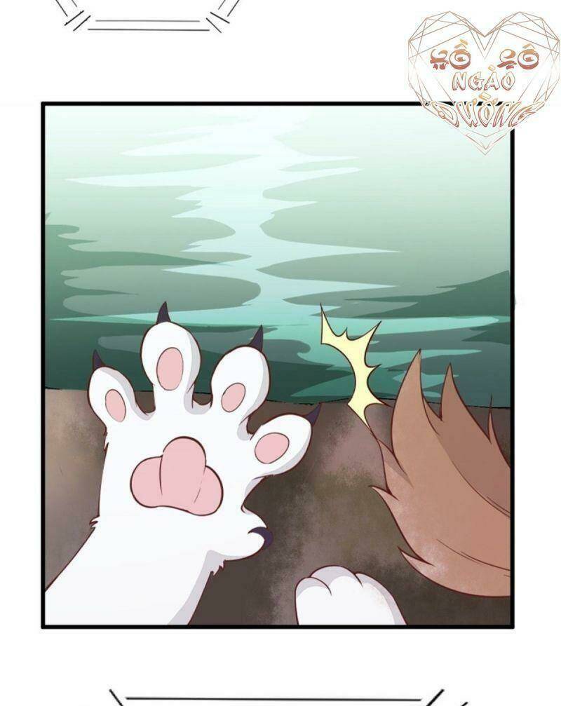 sát thủ vương phi không dễ chọc chapter 30 27