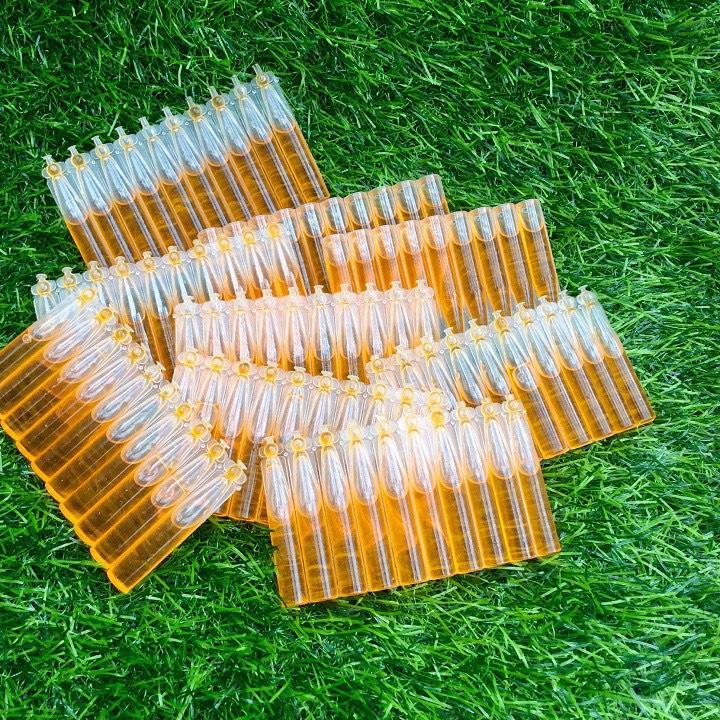 COMBO 10 ỐNG DẪN DỤ RUỒI VÀNG GÂY HẠI TRÊN CÂY ĂN QUẢ, HIỆU QUẢ CAO