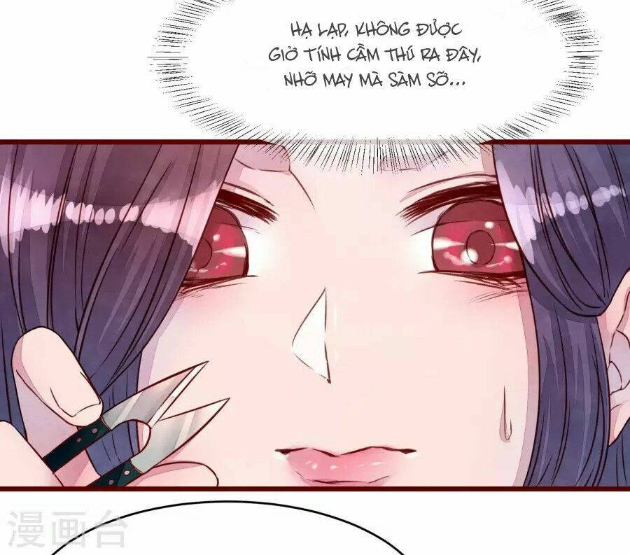 đào tạo nuôi dưỡng bạn trai mèo chapter 36 23