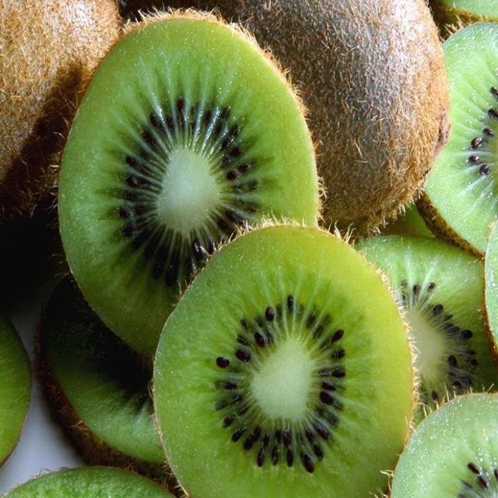 Cây Giống Kiwi