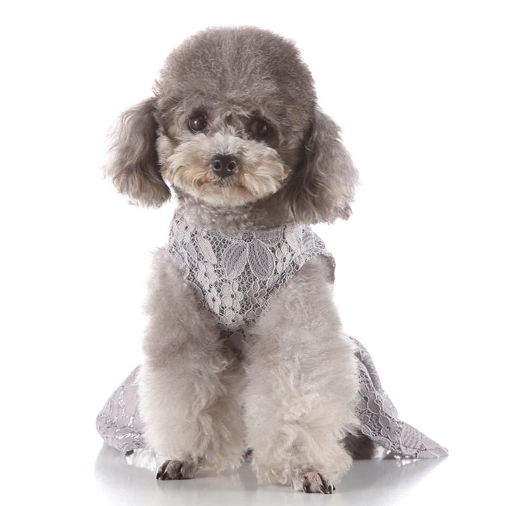 Cute Lovely Dog Puppy Summer Dress Pet Princess Dress For Small Dog Puppy XS