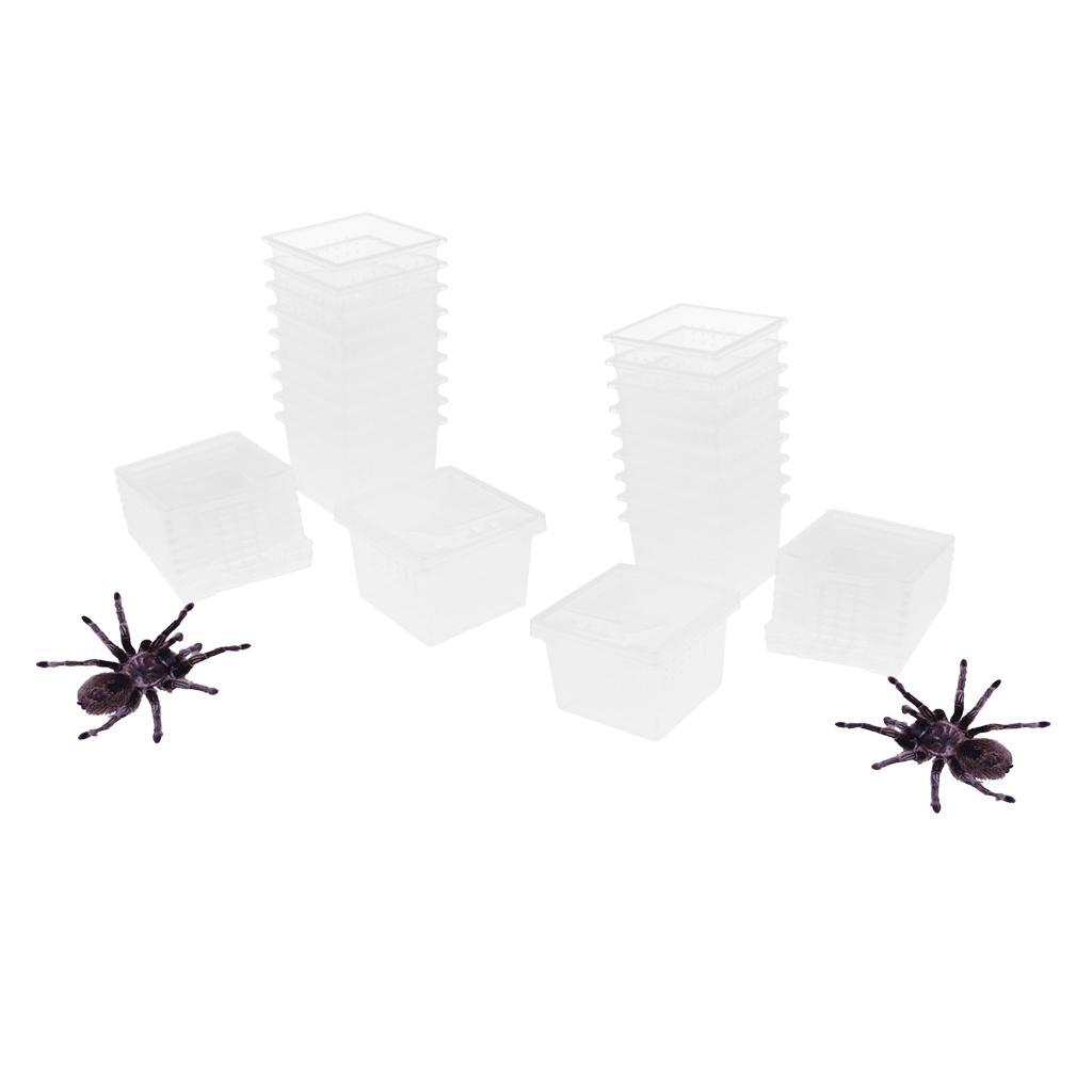 20x Reptile Feeding Container Vivarium Rearing Box for Outing Raise