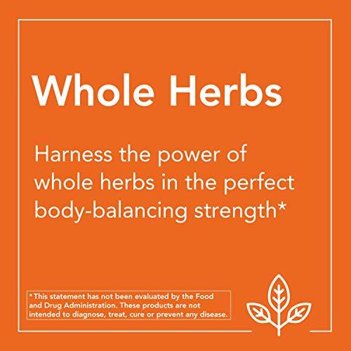 Viên Uống Now Astragalus  500mg