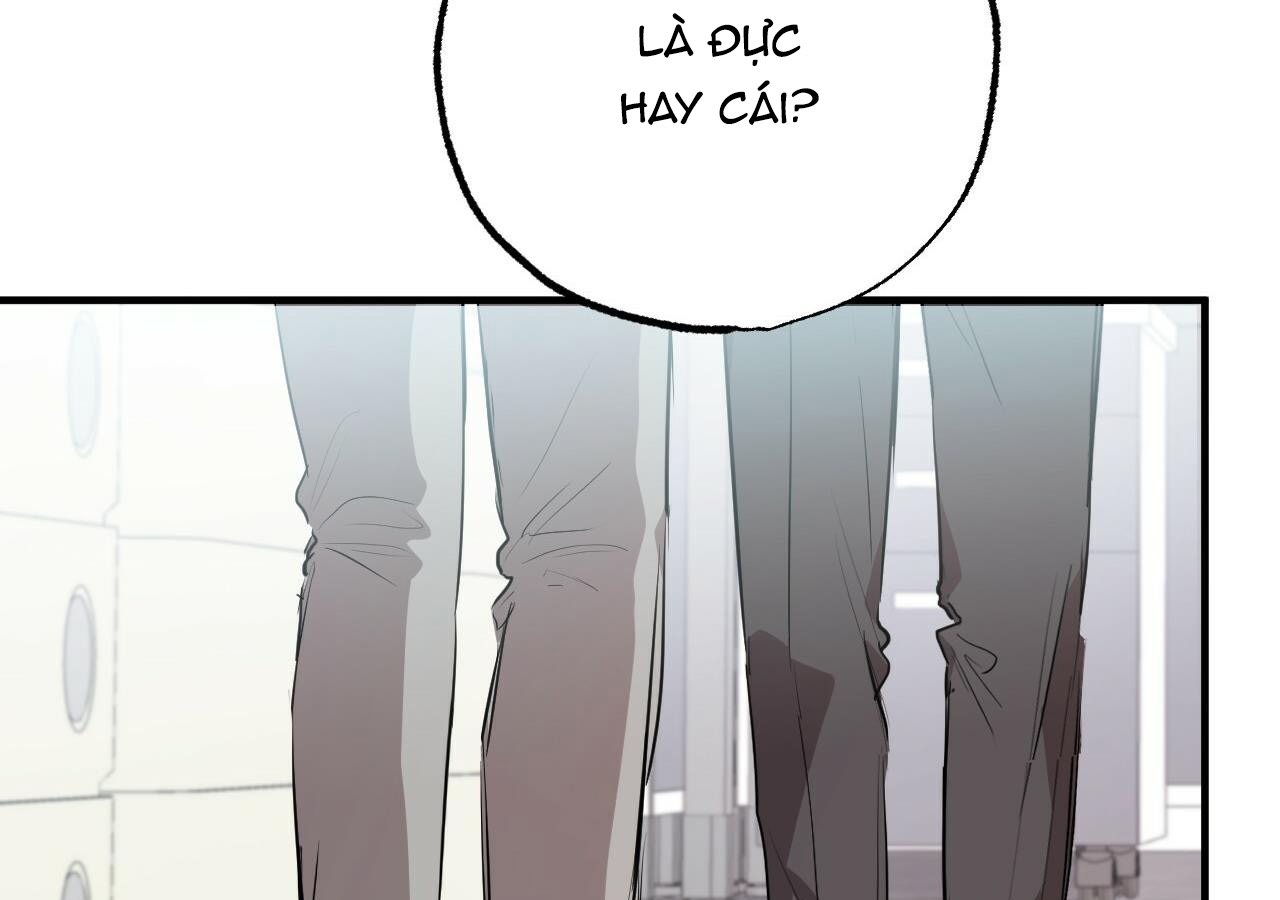 đàn thỏ của habibi chapter 20 133