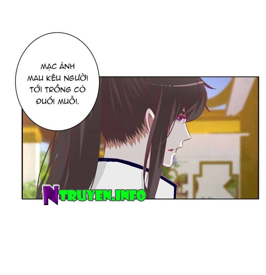 thông linh phi chapter 589 6