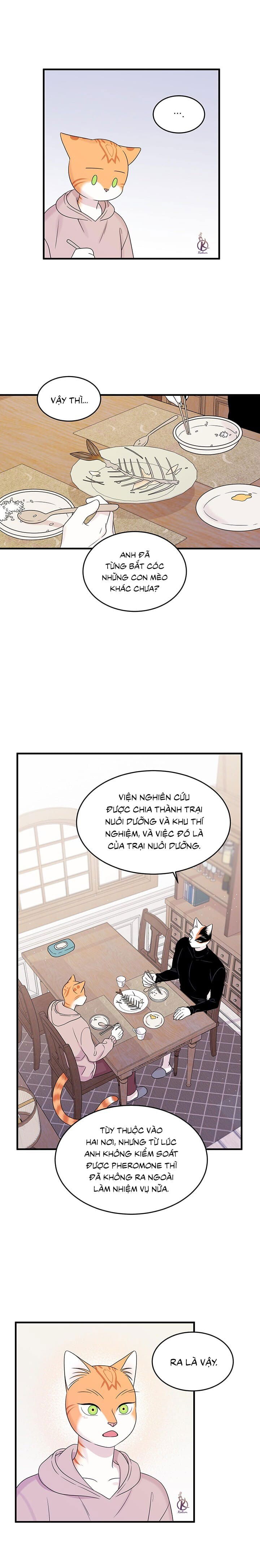 dự án xanh chapter 39 9