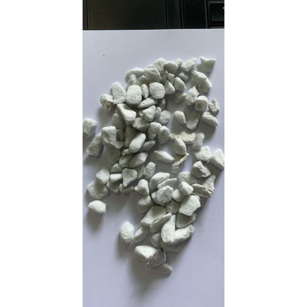Đá trân châu Perlite kích thước 6-12mm túi 02 lít