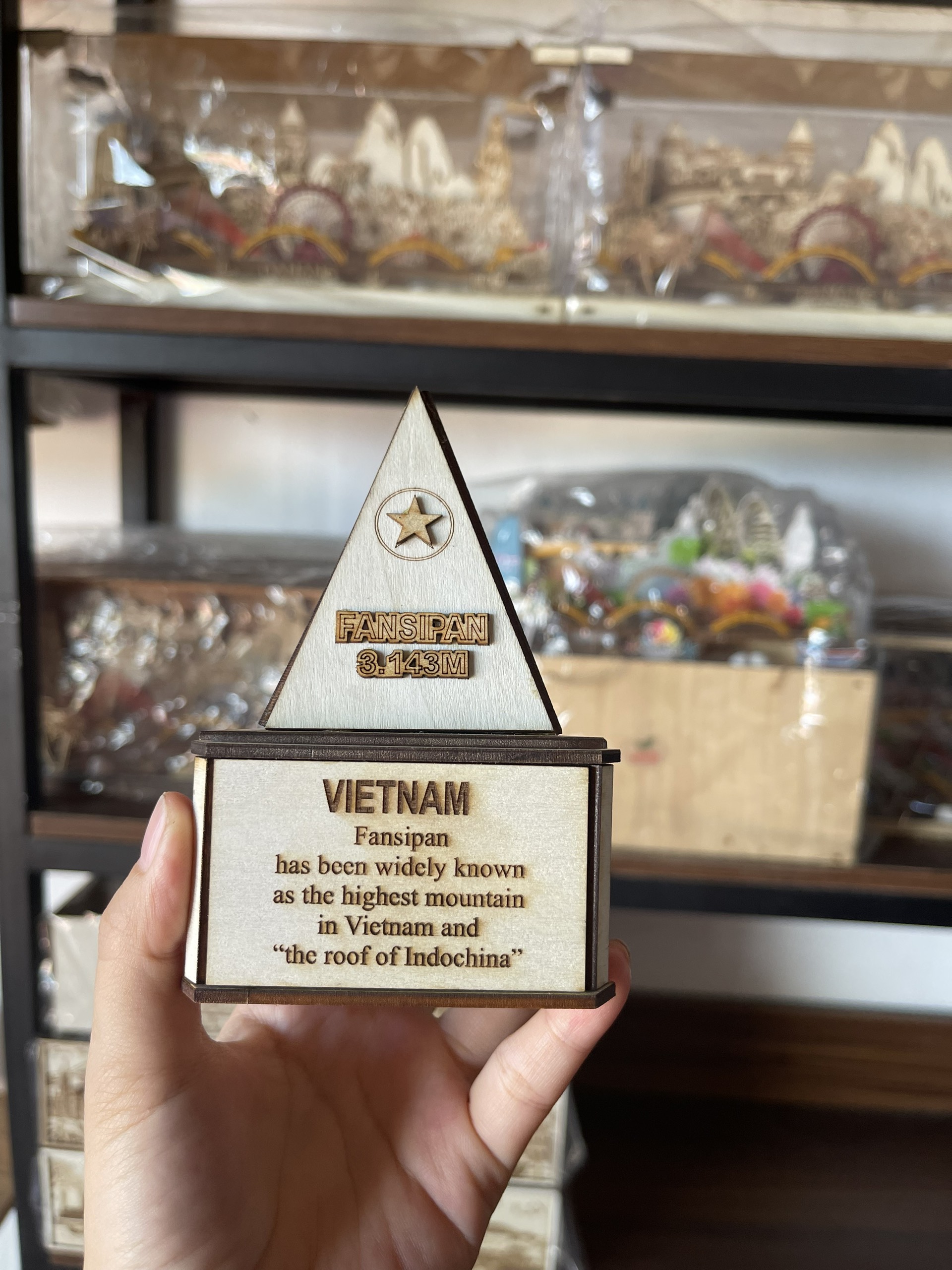 MÔ HÌNH FANSIPAN 3D