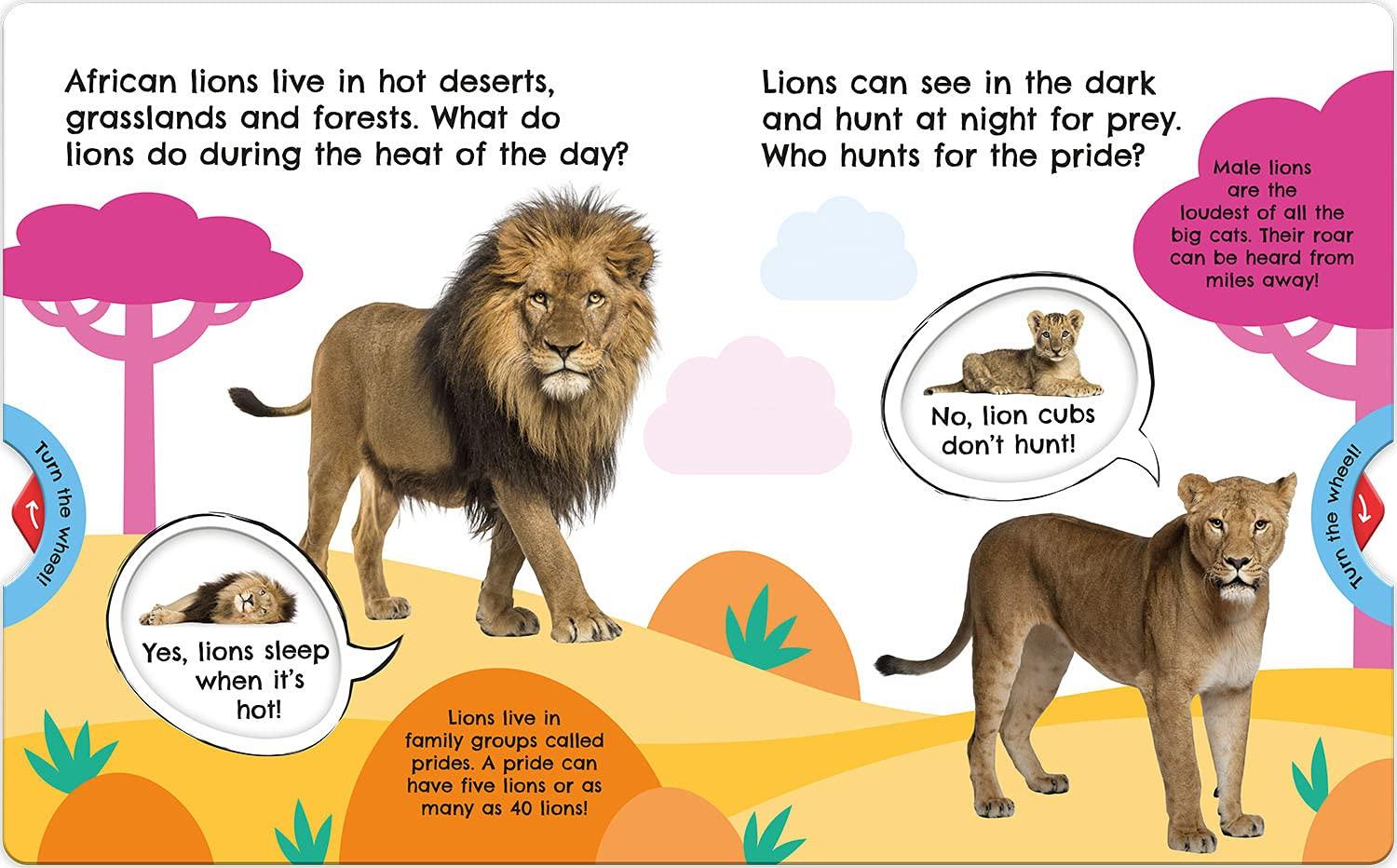 First Facts Big Cats (Turn-the-Wheel Books)