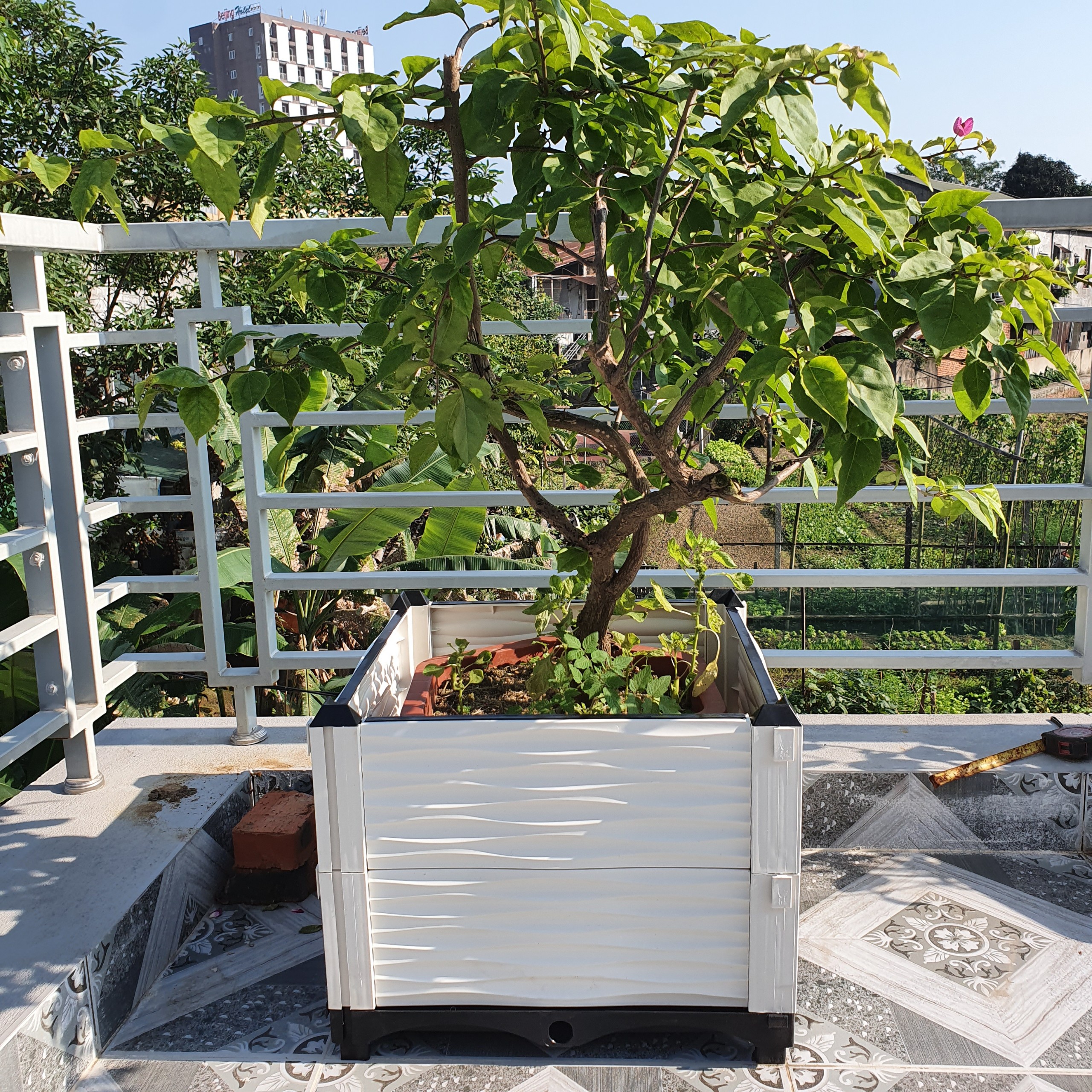 CHẬU GHÉP THÔNG MINH Cm: Bền từ 8-10 năm, phù hợp mọi cây trồng và không gian, Module tùy biến kích thước, an toàn, trọng lượng nhẹ, kết cấu chắc chắn, có khay trữ và thoát nước.