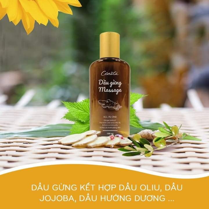 Dầu gừng Massage Cenota 150ml Giảm đau Chống Cảm