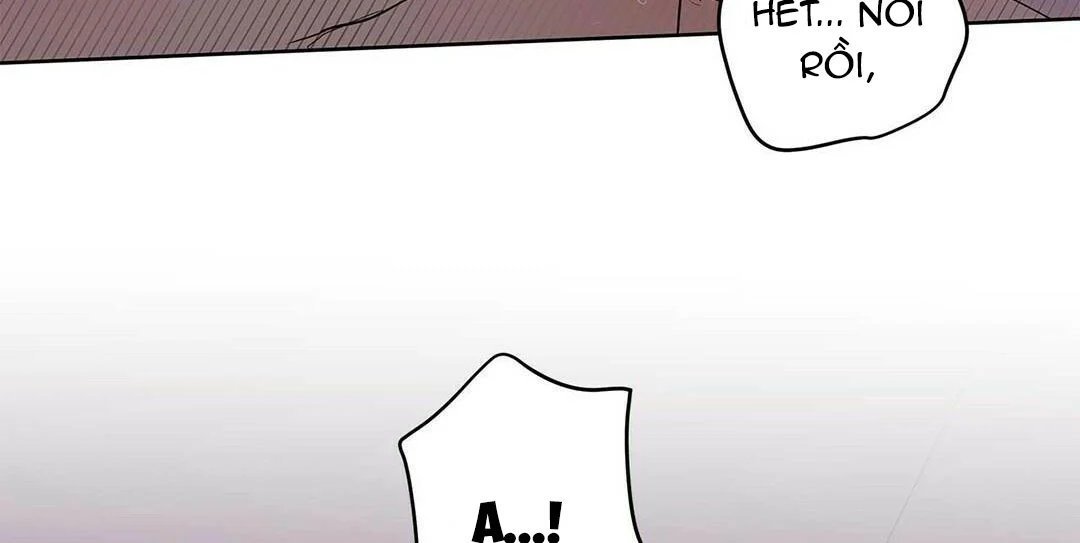 guide cấp b chapter 21 118