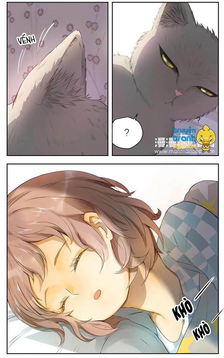 cứu mạng ! loài mèo thống trị thế giới rồi ! chapter 26 8