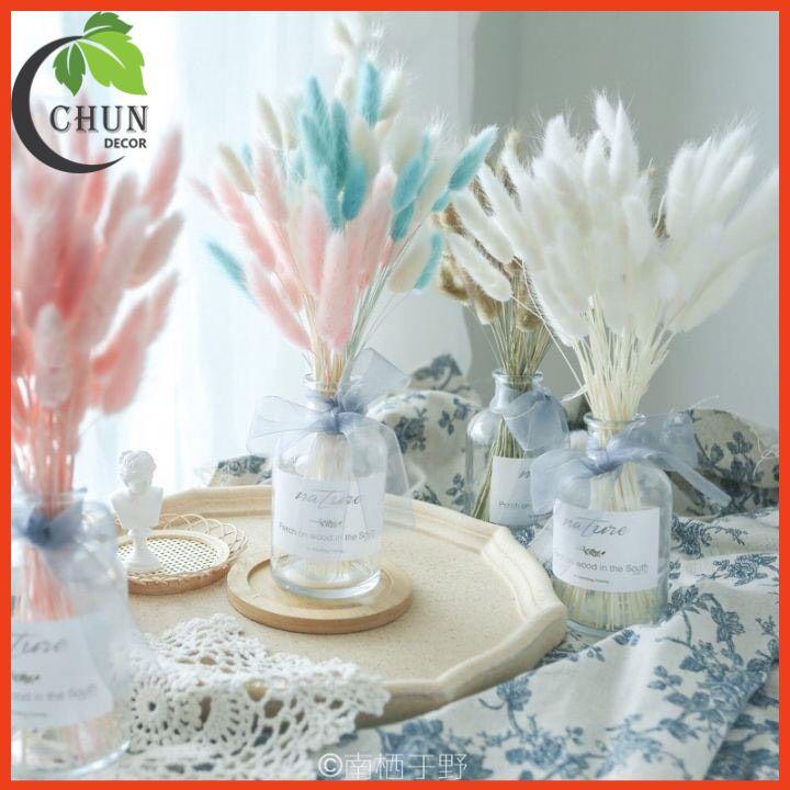 Hoa Khô, Bình Hoa Cỏ Đuôi Cao 25cm Trang Trí Nhà Cửa, Cửa Hàng, Văn Phòng