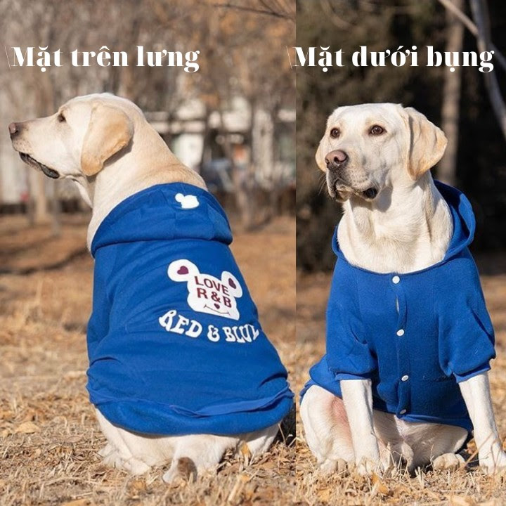 ÁO HOODIE CHO CHÓ RED AND BULL DÀNH CHO CHÓ LỚN - SP000604