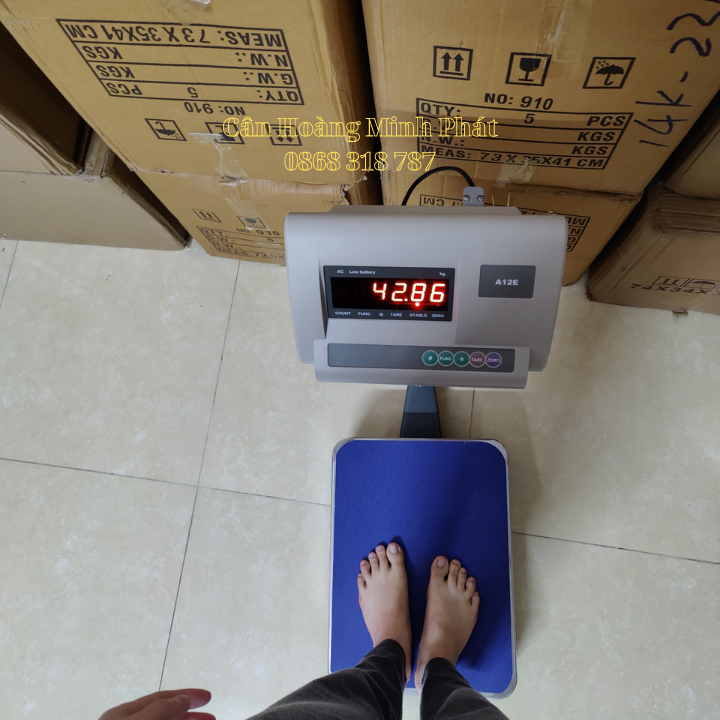 Cân Bàn Điện Tử Công Nghiệp 150kg/300kg A12E