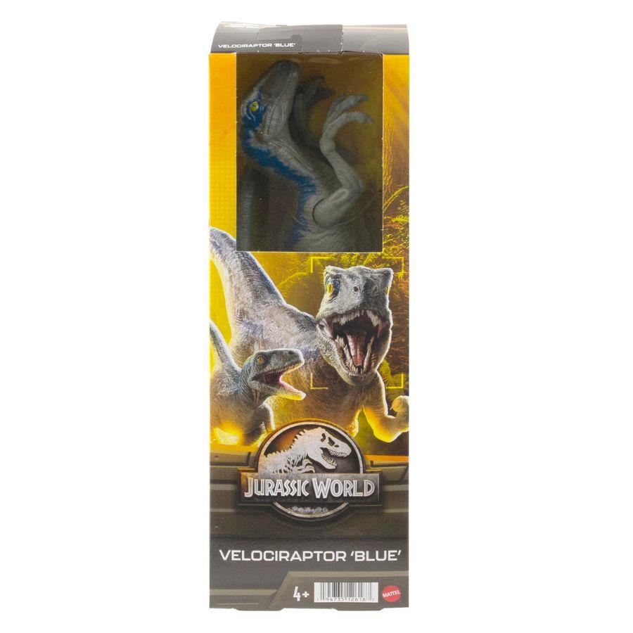 Đồ Chơi Jw Khủng Long Velociraptor (Blue) 12 Inch JURASSIC WORLD MATTEL HMF83/GWT54