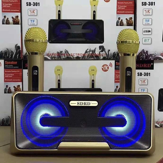 Loa Karaoke SD 301 - SD 306 - SD 309 Kèm 2 Micro Không Dây tích hợp bluetooth 4.0 - usb - thẻ nhớ