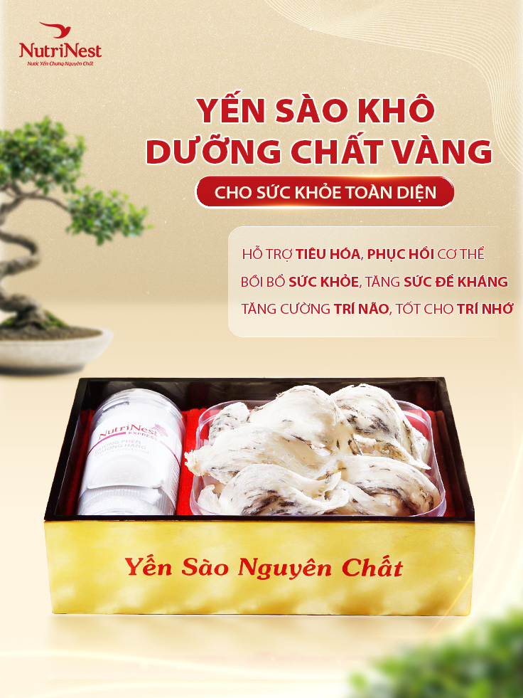 Tổ Yến Sào Còn Lông Thô NutriNest Chất Lượng Cao 100g - Kèm Đường Phèn
