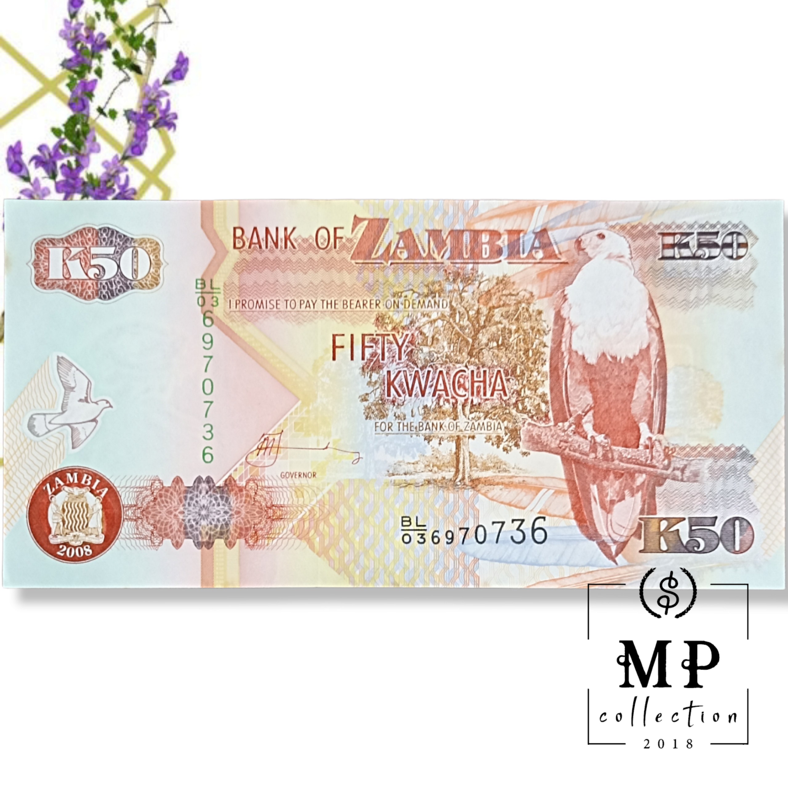 Tờ con ngựa của Zambia 50 Kwacha tuổi Ngọ sưu tầm , tiền châu Phi , Mới 100% UNC