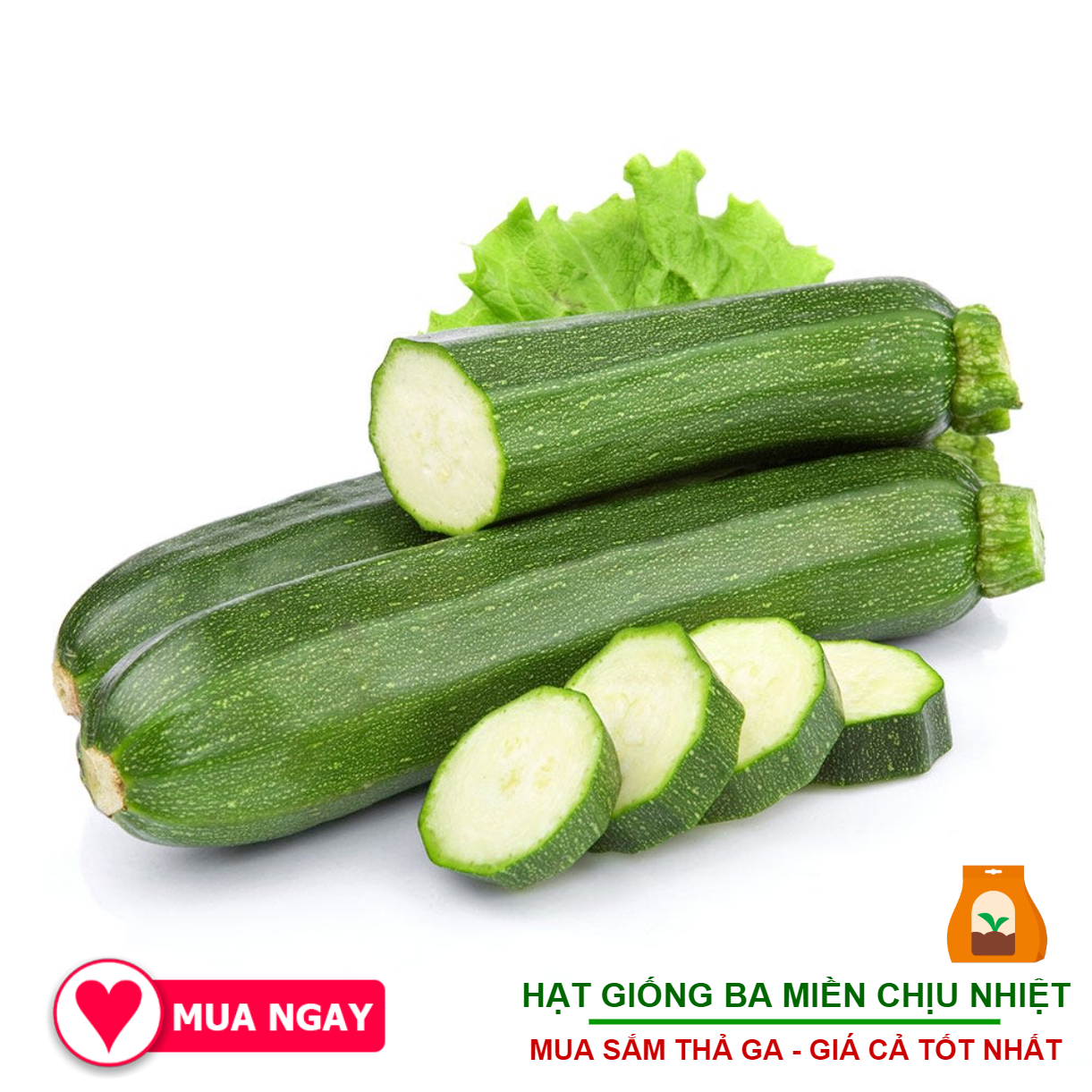 Hạt Giống Bí Ngòi  Xanh 2 Gram Hãng Sen Vàng