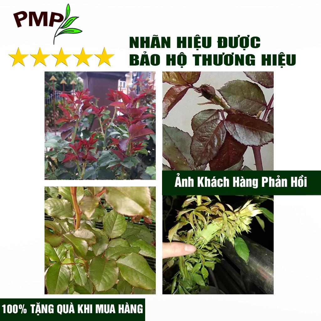 Phân Bón Hoa Hồng SOYMIC PMP Siêu Phân Bón Ủ Vi Sinh Từ Đậu Nành, Trứng, Chuối, Humic, Vi Lượng 1000ml