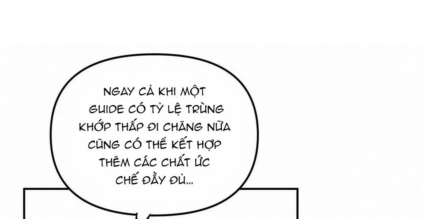 guide cấp b chapter 1 162