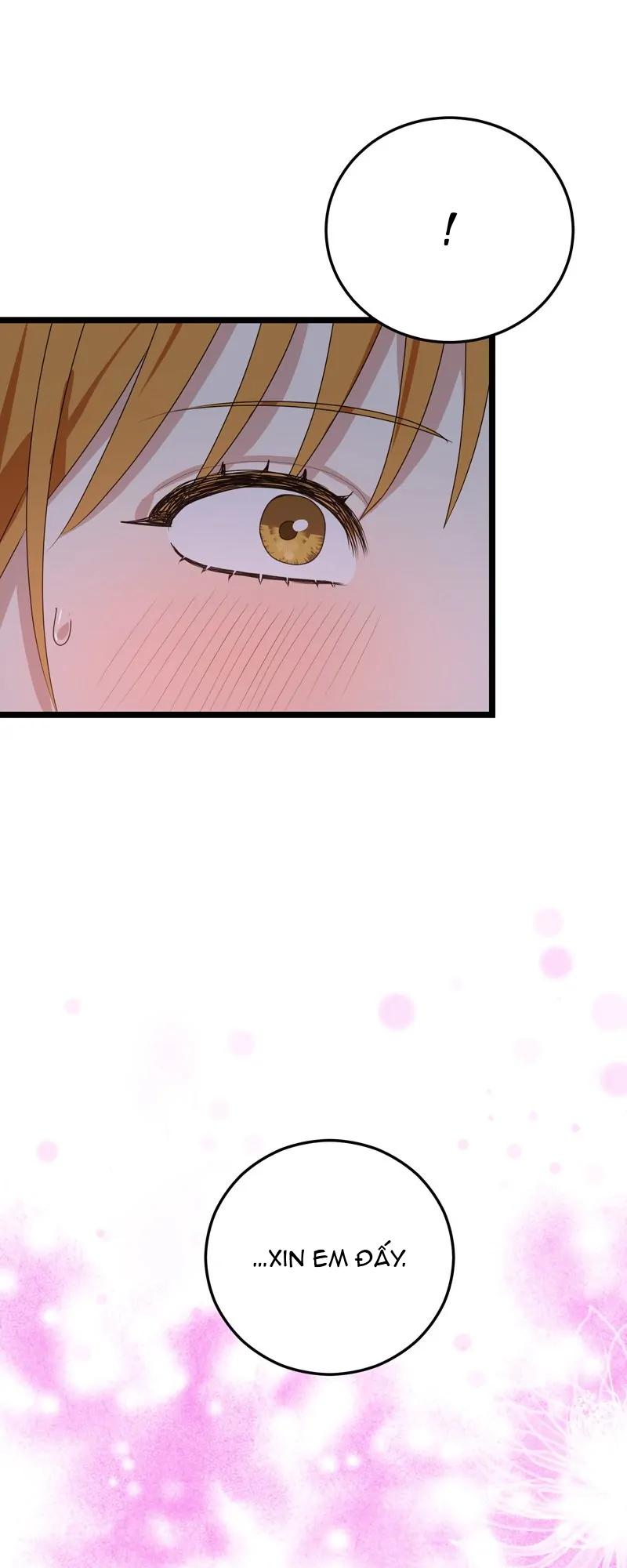 nụ hôn yêu tinh chapter 37.2 42