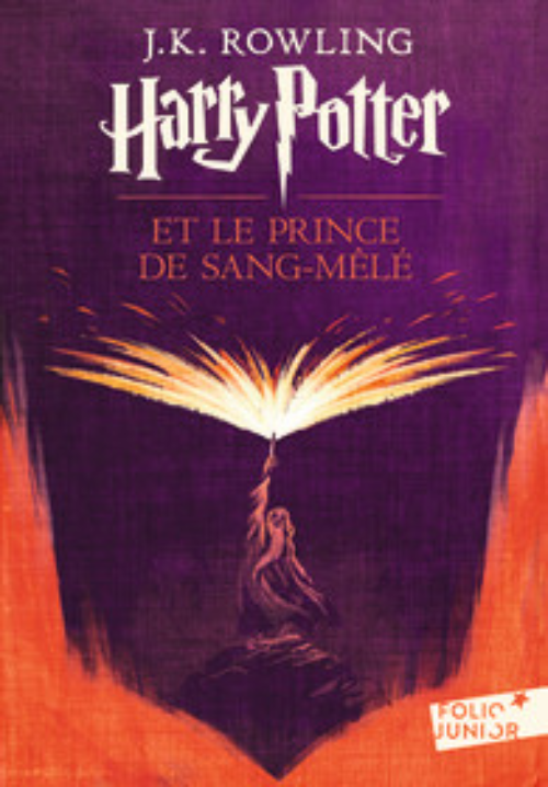 Tiểu thuyết thiếu niên tiếng Pháp: Harry Potter Et Le Prince De Sang Mele Tome 6