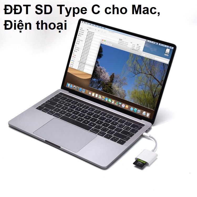 Đầu đọc thẻ Đầu đọc thẻ SD Type C cho Mac, Điện thoại