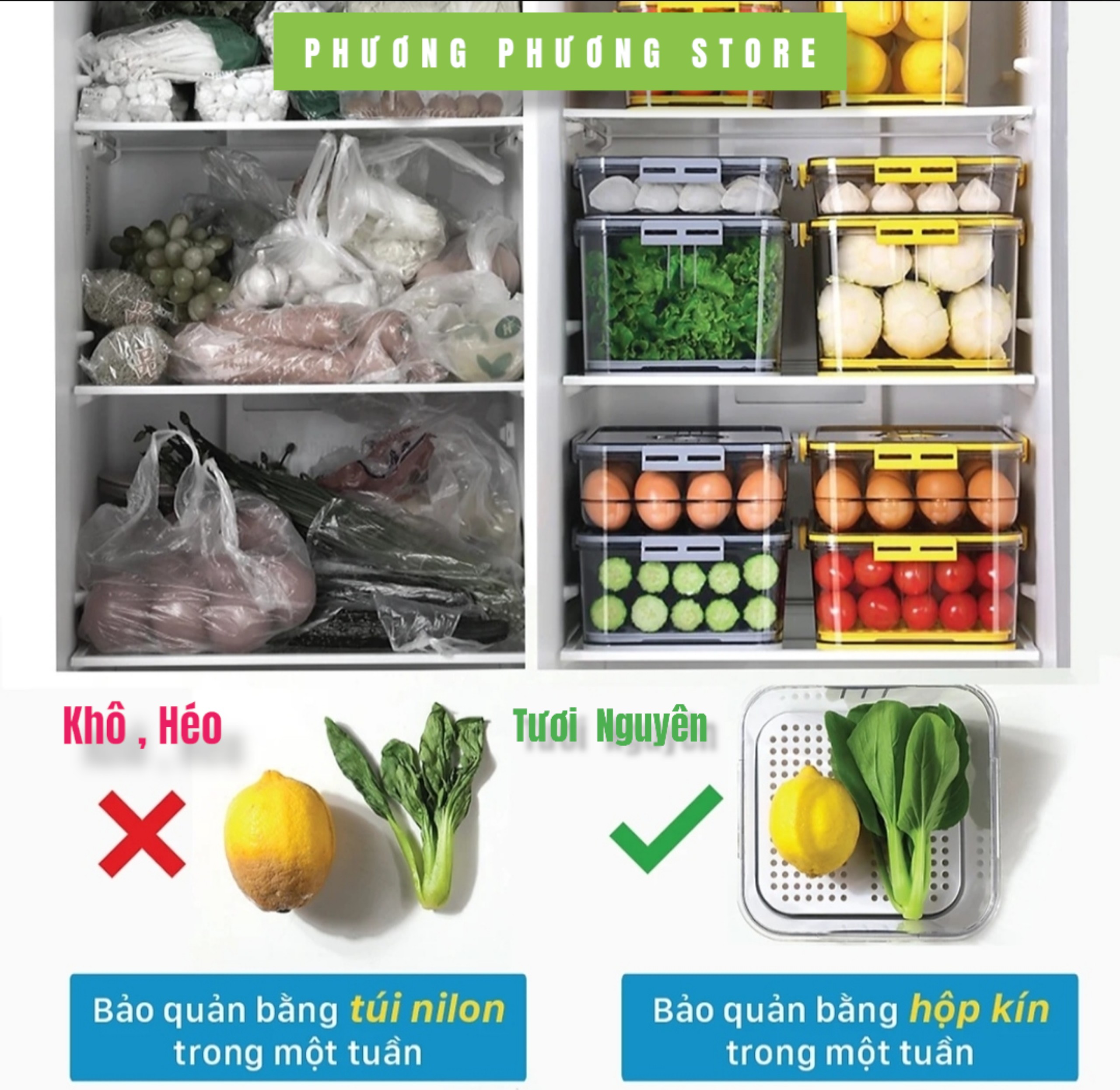 Hộp nhựa đựng thực phẩm HoKoRi trong suốt có khay lót đáy giúp ráo nước, chất liệu cao cấp, an toàn cho sức khỏe