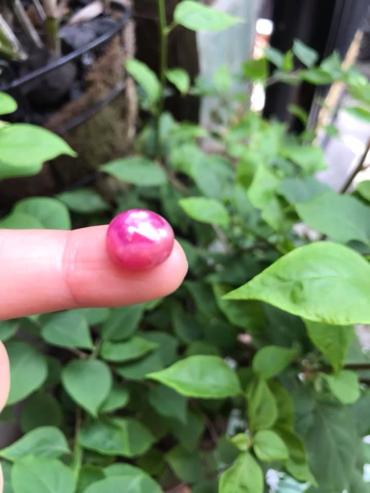 VIÊN ĐÁ RUBBY HỒNG TRÒN ĐẸP NHƯ BÔNG HOA PHÍA TRÊN VIÊN ĐÁ TRÒN DẦY ĐẸP LẮM LUÔN LÀM MẶT NHẪN DÂY CHUYỀN Size DÀI 12mm X NGANG 11mm x DẦY 7mm