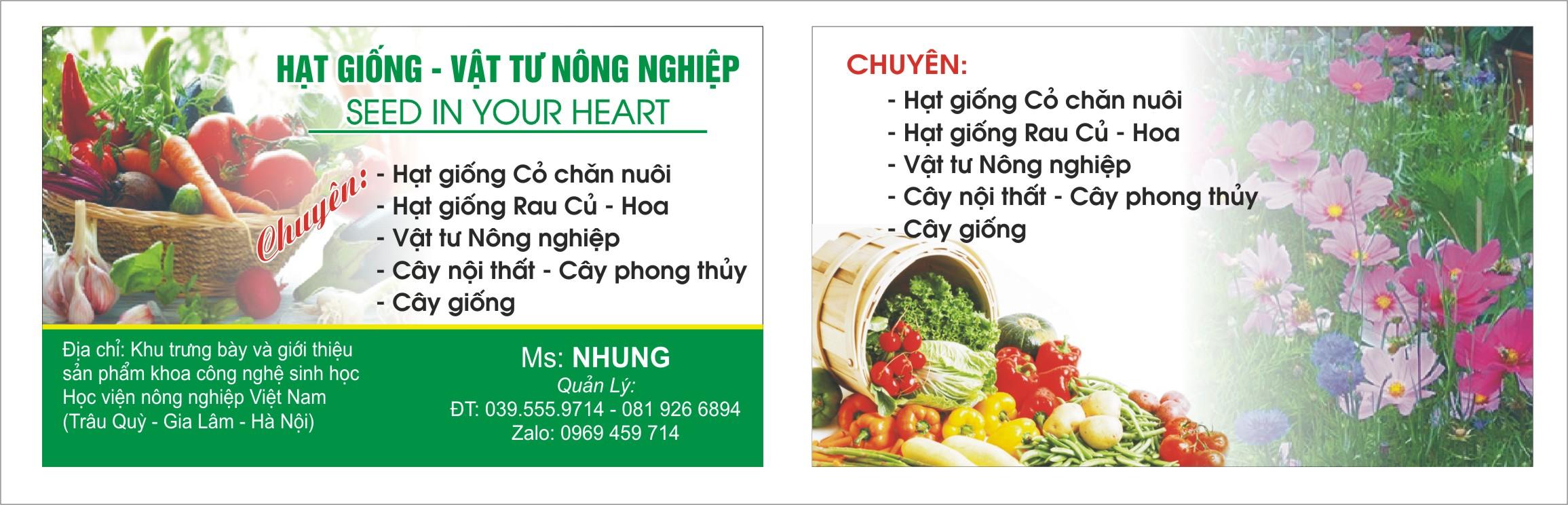 Chế phẩm sinh học Trái Cà trừ sâu - an toàn cho người dùng, hiệu quả ngay