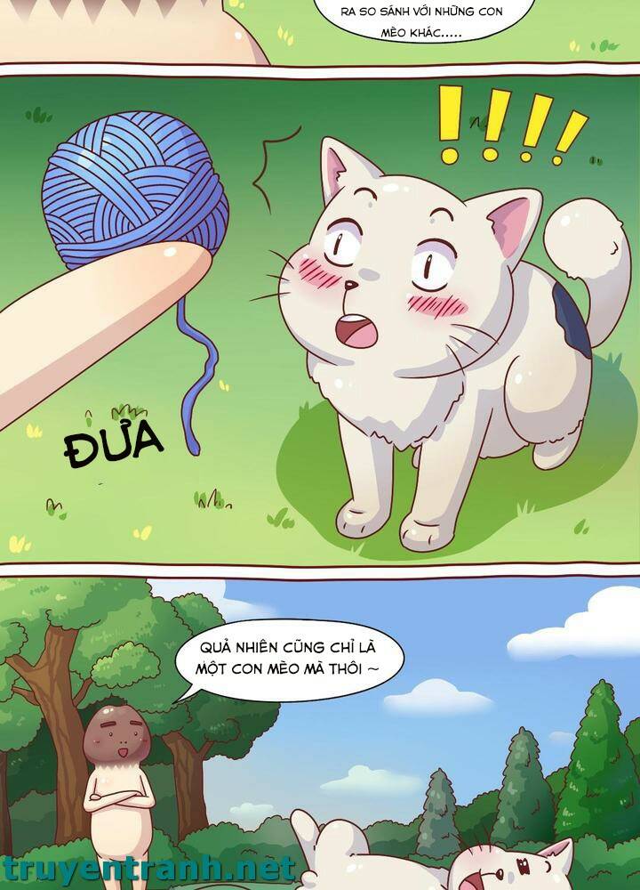 cây nấm kì khả chapter 7 8