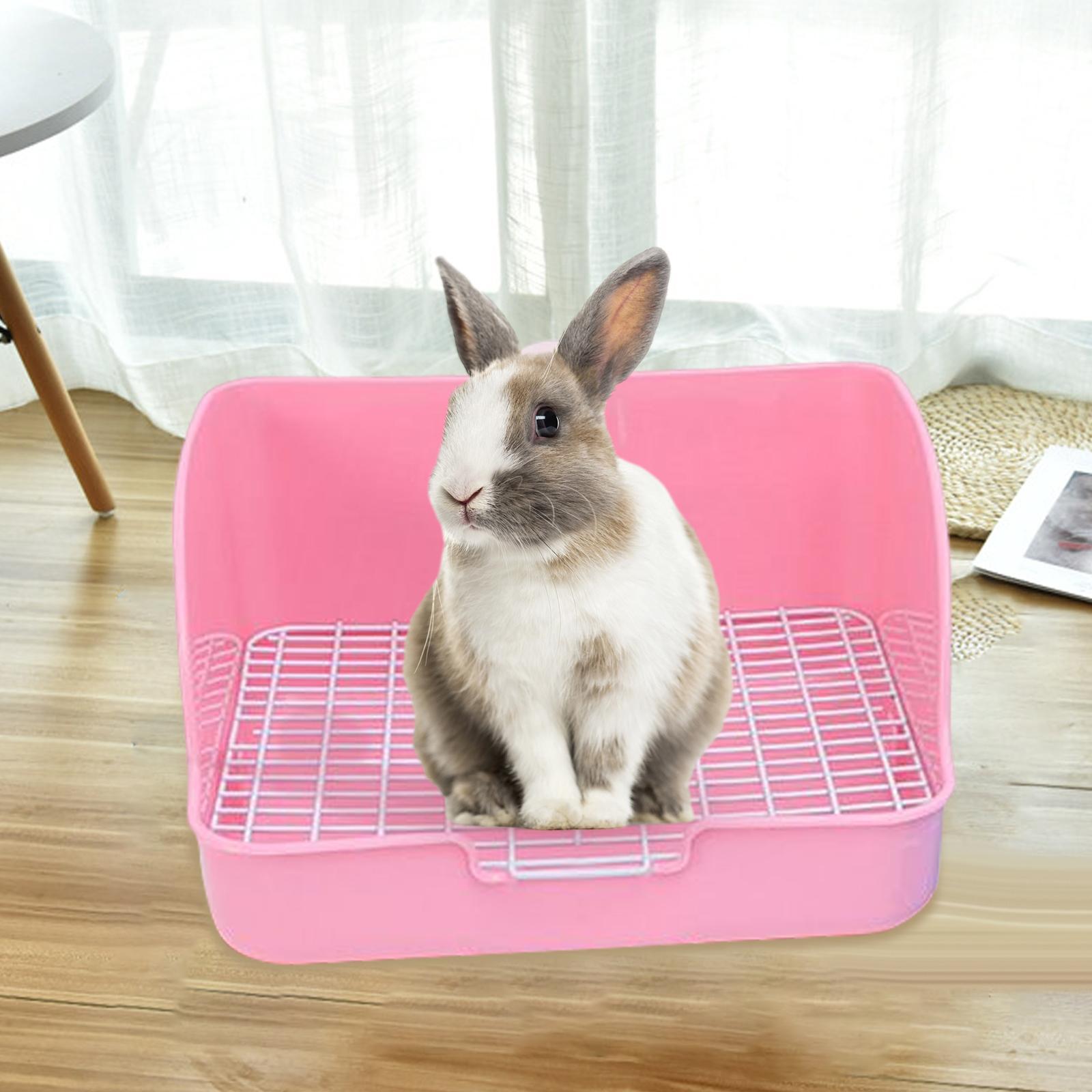 Hamster Chinchilla Ferret Hedgehog Supplies Pink