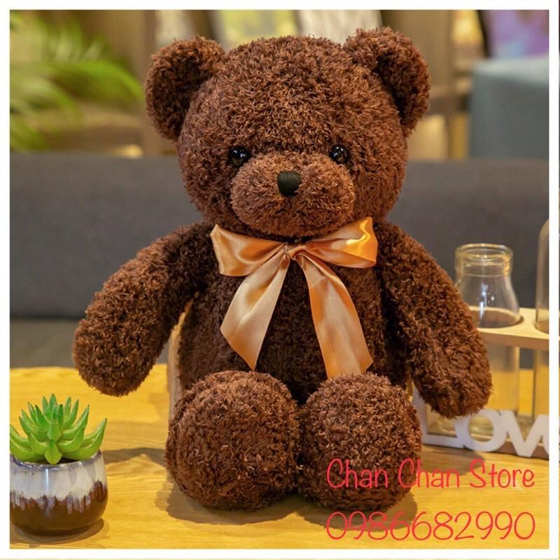 Gấu bông Teddy thắt nơ 30cm Mềm mịn cao cấp