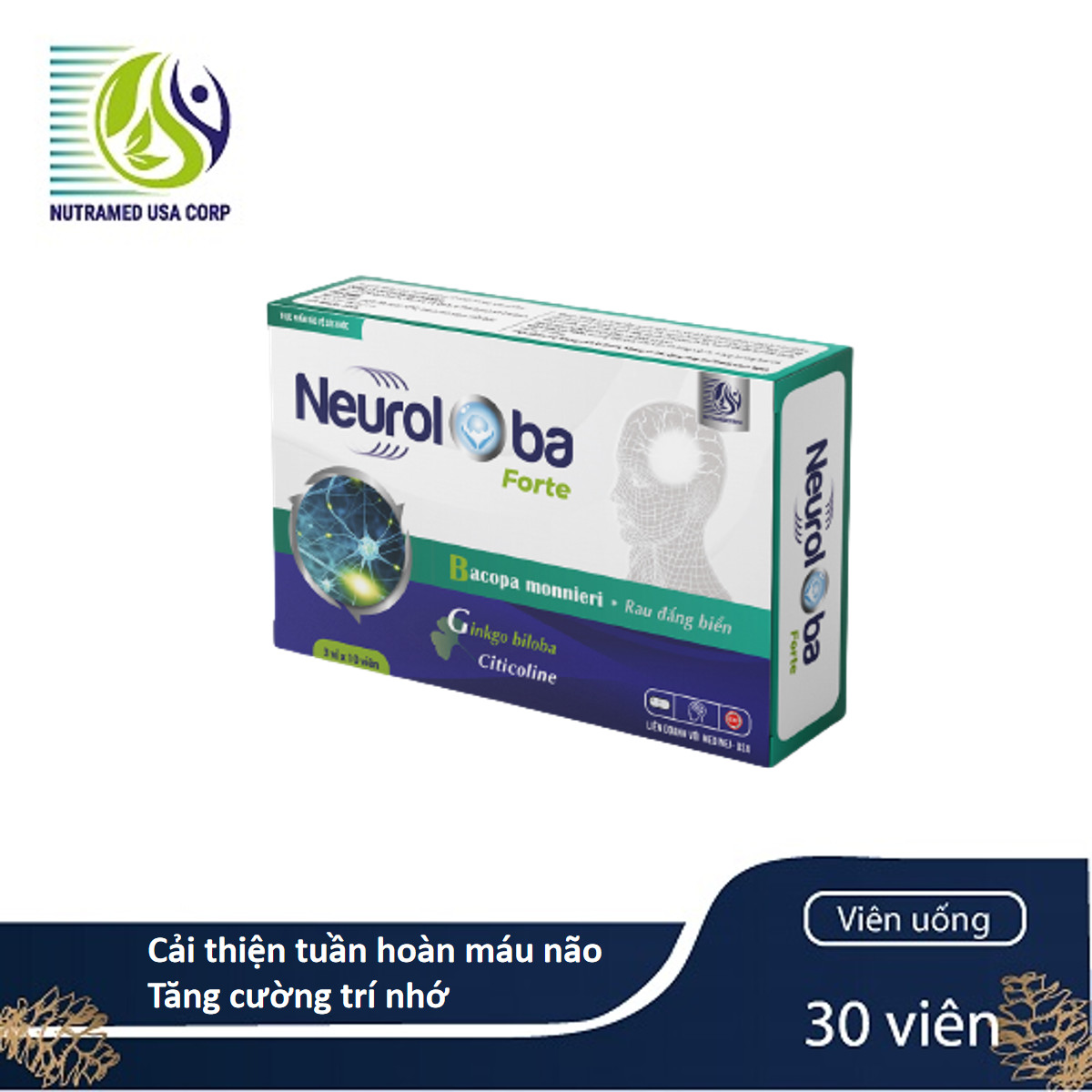 Neuroloba Forte - Cải thiện tuần hoàn máu não, tăng cường trí nhớ, điều hòa vận mạch trên toàn bộ mạch máu - Nhà máy liên doanh với Medinej - USA và đạt chuẩn GMP - WHO