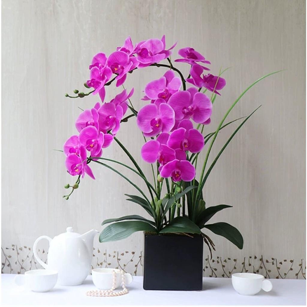 Hoa giả, bình hoa lan hồ điệp đẹp giống thật để bàn trang trí nhà cửa sang trọng Flowermini LD-03