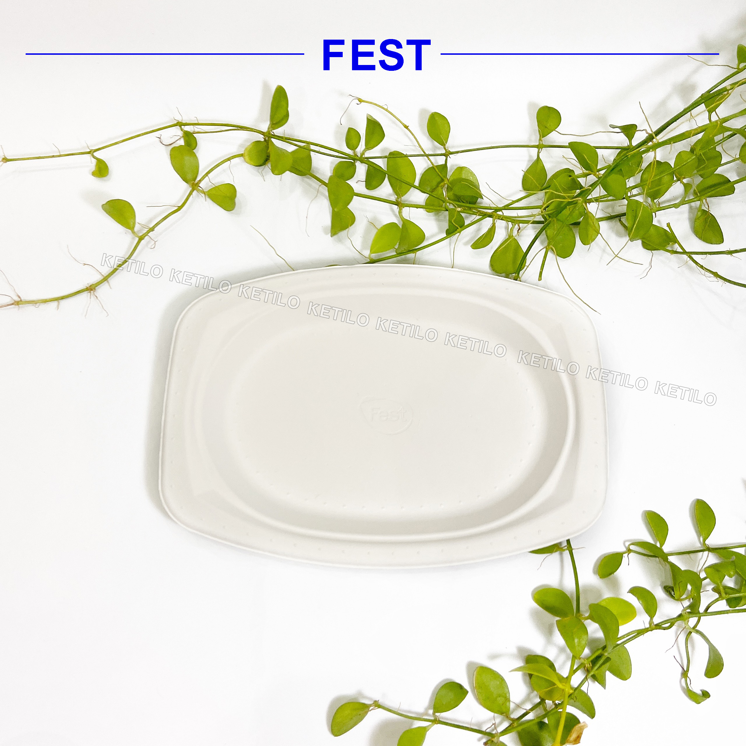 Combo 20 Dĩa Giấy FEST BIO OVAL PLATE 6.5 Inches THÁI LAN Hàng Nhập Khẩu Cao Cấp, Dùng Được Trong Lò Vi Sóng, Lò Nướng Dùng 1 Lần, An Toàn Thân Thiện Môi Trường - CHÍNH HÃNG F006 (Tặng Móc Khóa KETILO)