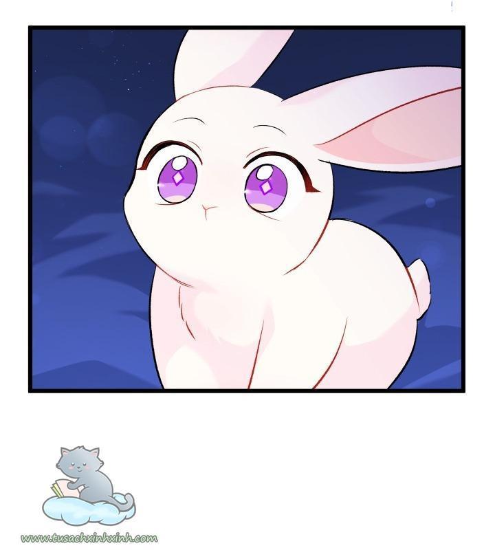 quan hệ cộng sinh giữa báo đen và thỏ trắng chapter 46 63