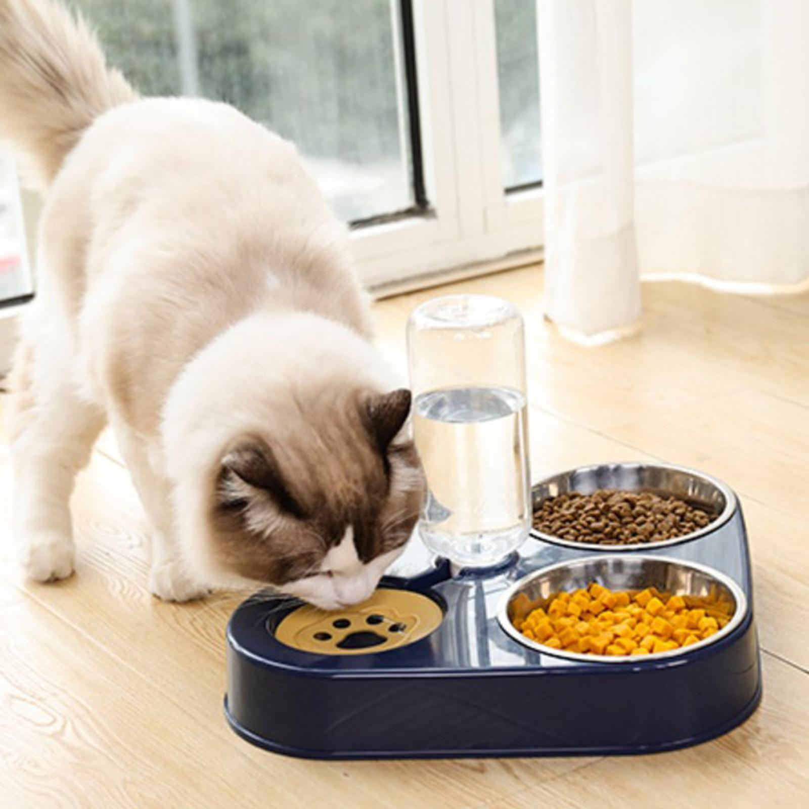 Automatic Water Dispenser & Food Bowl Set Stainless Steel Bowl Dark Blue