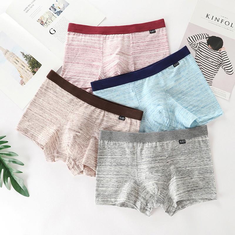 Hộp 4 quần lót nam boxer cotton cao cấp vải mềm co giãn thoáng mát