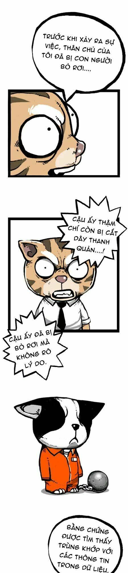 earth, human, and animal chapter 22 27