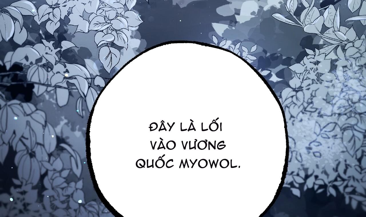 đàn thỏ của habibi chapter 37 65