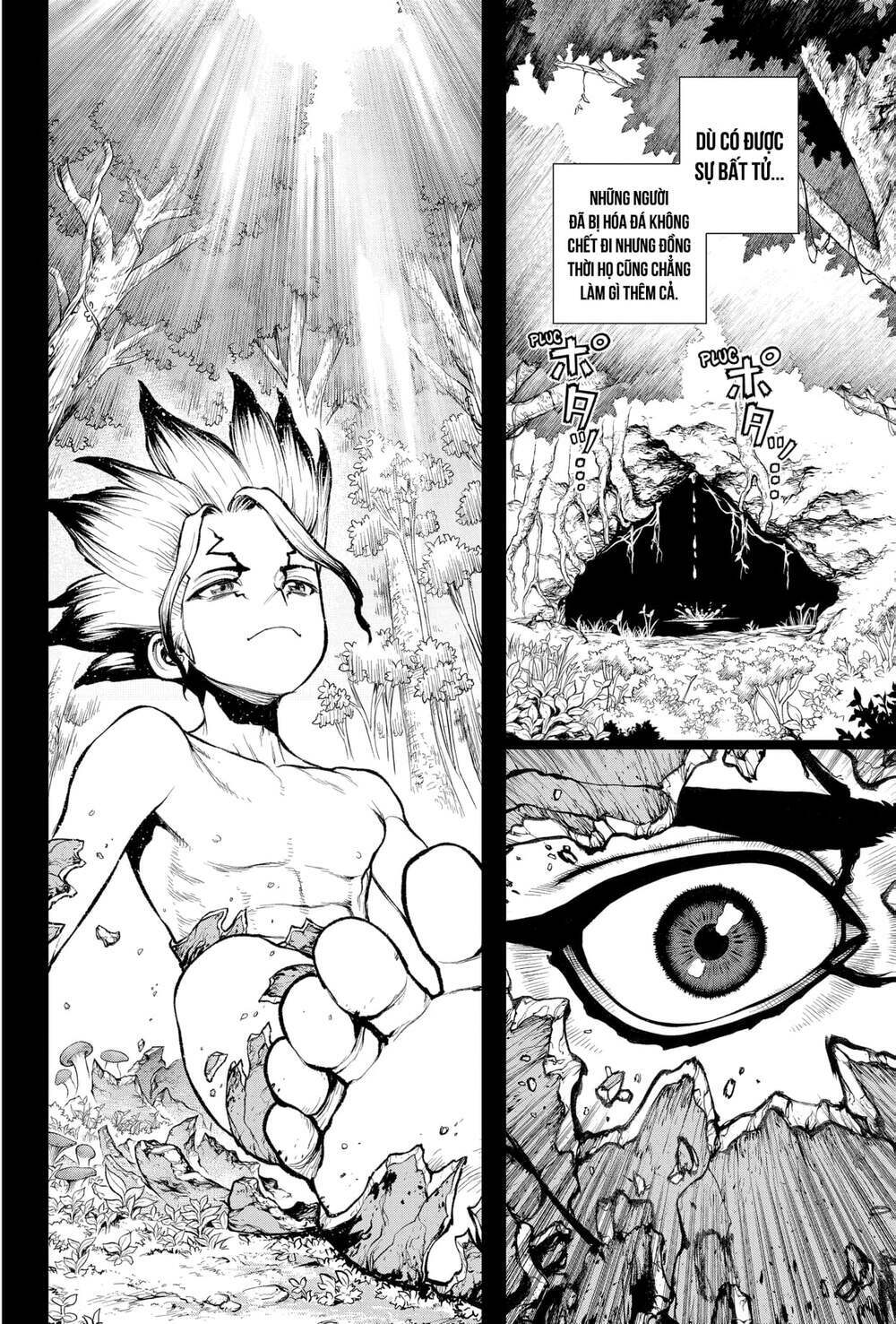 dr.stone - hồi sinh thế giới chapter 229 15